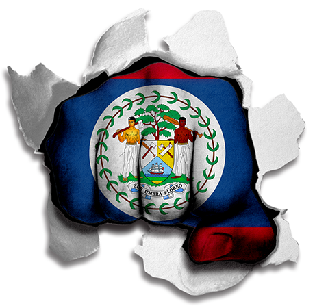 Fist Belize Flag Logo vinyl decal